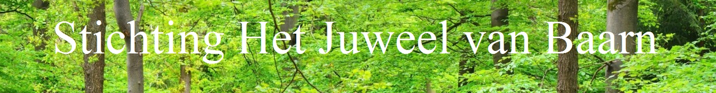 Juweel van Baarn